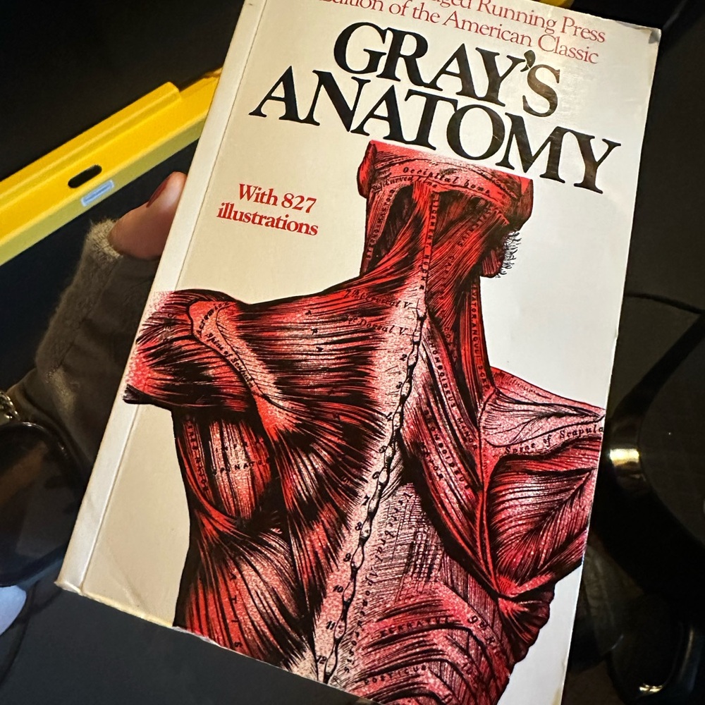 Gray's Anatomy Book with Illustrations